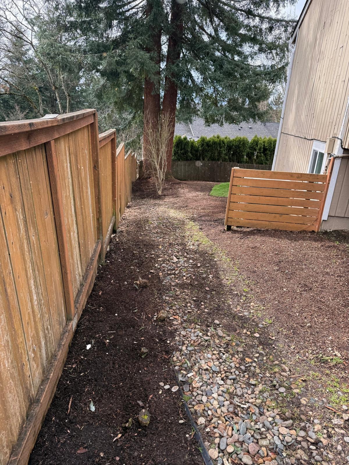 Saenz yard 2025 (2)